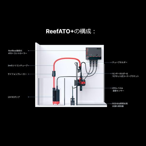 レッドシー リーファーG2+ 250フランジ付き ブラック Red sea レッドシー リーファーG2+ 250フランジ付き ブラック Red sea