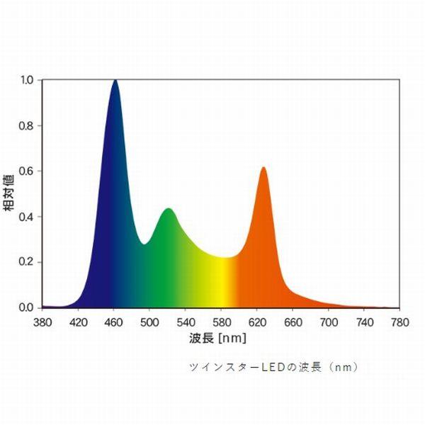 カミハタ 送料無料(北海道沖縄除く) ツインスター E-LINE