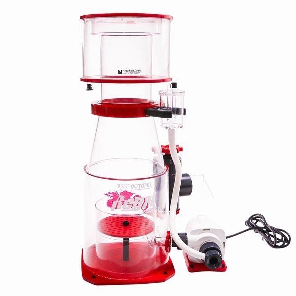 専門店では OCTO Regal 200-INT DCプロテインスキマー 海水魚用品