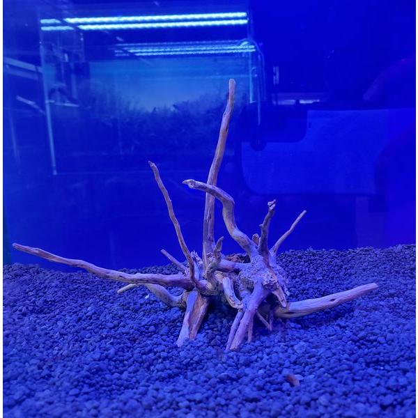 レイアウト済み 流木 30cm水槽用 NO4 : G3 AQUA LAB ヤフーショップ