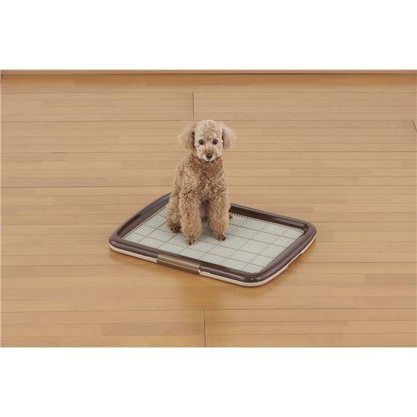 （まとめ）しつけるトレーメッシュプラスM ブラウン (ペット用品) (×2セット）_1