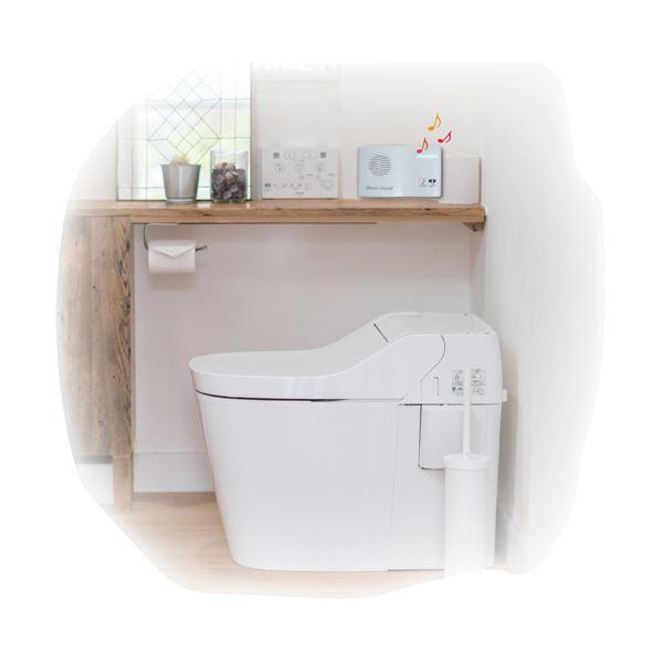 （まとめ）リーベックス トイレの音消し 水の音センサーサウンド TLS1 1台 〔×3セット〕