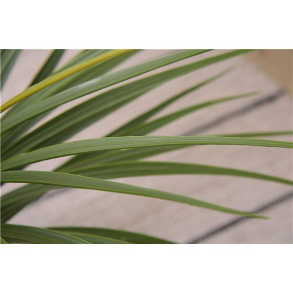フェイクグリーン 観葉植物 ミニパイナップル 約幅61×奥行61×高さ67cm リビング 店舗 ショップ インテリア雑貨_3