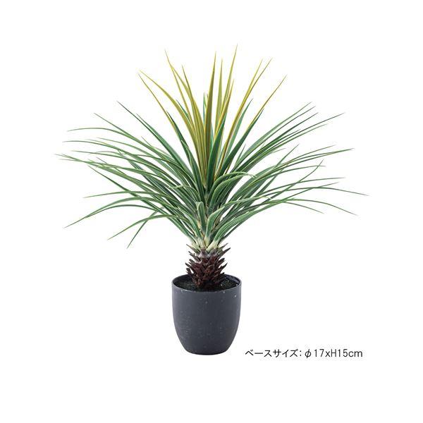 フェイクグリーン 観葉植物 ミニパイナップル 約幅61×奥行61×高さ67cm リビング 店舗 ショップ インテリア雑貨_5