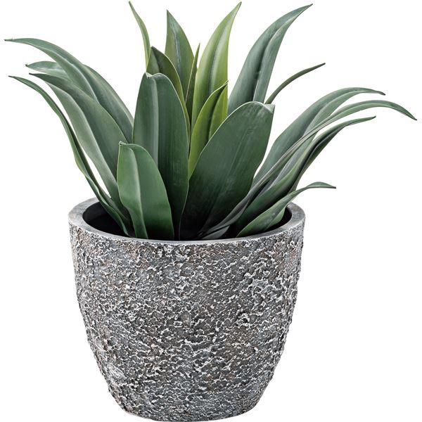フェイクグリーン 観葉植物 アガベ 約幅53×奥行53×高さ53cm リビング 店舗 ショップ インテリア雑貨_1