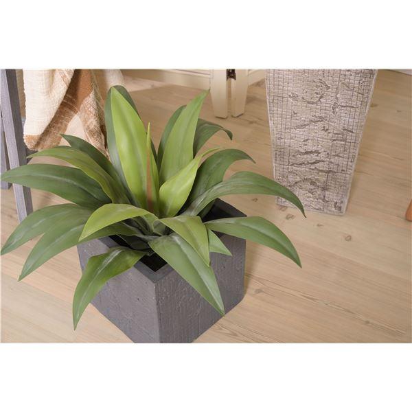 フェイクグリーン 観葉植物 アガベ 約幅53×奥行53×高さ53cm リビング 店舗 ショップ インテリア雑貨_2