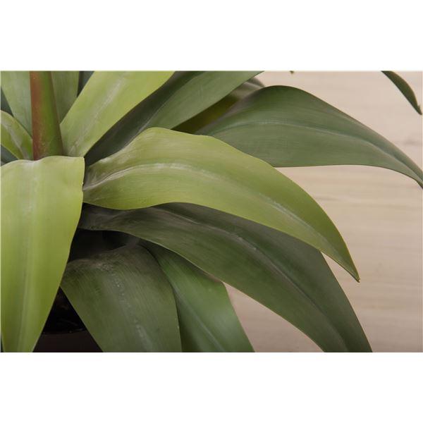 フェイクグリーン 観葉植物 アガベ 約幅53×奥行53×高さ53cm リビング 店舗 ショップ インテリア雑貨_3