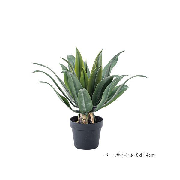 フェイクグリーン 観葉植物 アガベ 約幅53×奥行53×高さ53cm リビング 店舗 ショップ インテリア雑貨_5