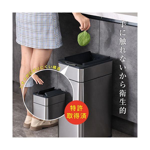 オーロラ 全自動ゴミ箱 両開きタイプ 50L ステンレス TS50 1台_3