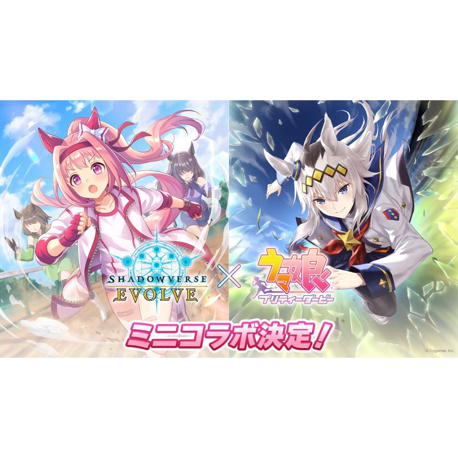 ブシロード Shadowverse EVOLVE ブースターパック 「Over the Calamity