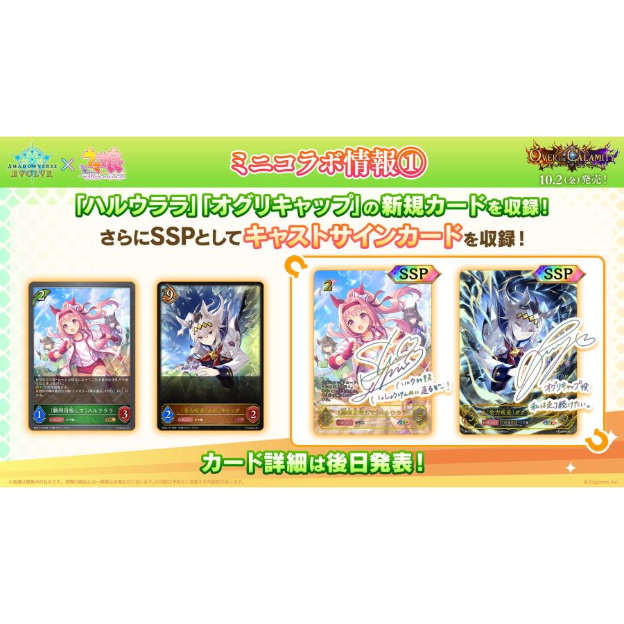 ブシロード Shadowverse EVOLVE ブースターパック 「Over the Calamity