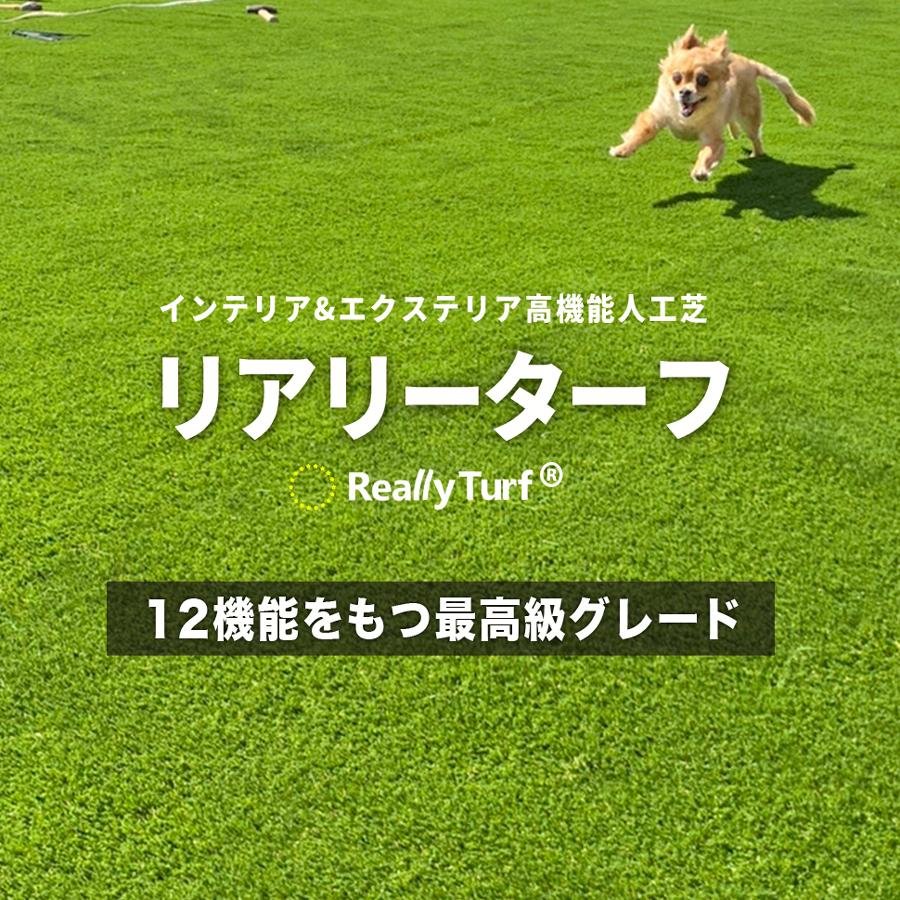 【直接引き取り限定】2m×5mリアリーターフ 12機能 人工芝1本 人工芝 ロール 2m×5m 10平米 芝丈 16mm パイル 芝生 マット リアル 高