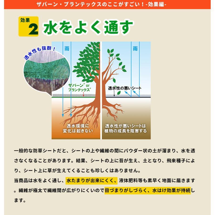 DuPont（デュポン） 防草シート ザバーン 136 2m×50m 2本 200平米 ぼう