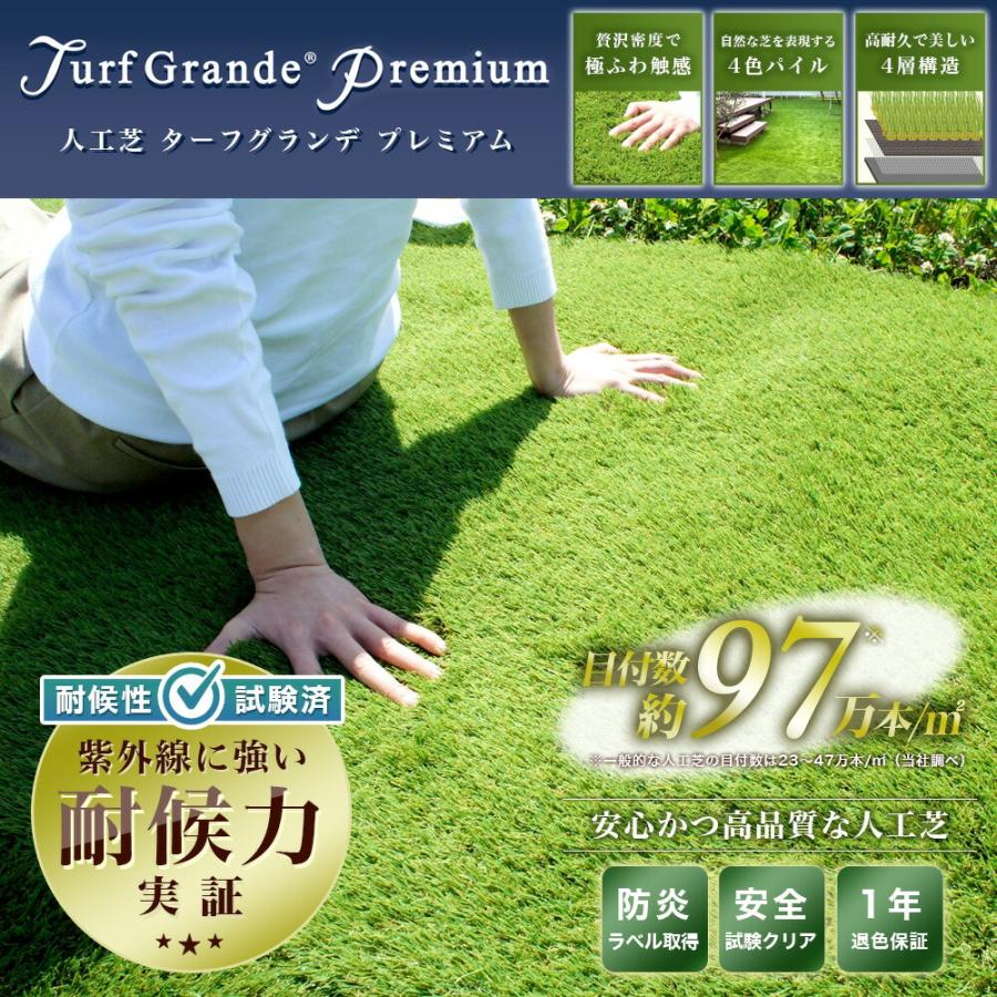 人工芝 ロール ピン 付 2m×10m 芝丈 35mm パイル 20平米 芝 マット リアル 高密度 ターフグランデ(R) ロング ピン100本 -法人限定(条件付き個人可)の画像