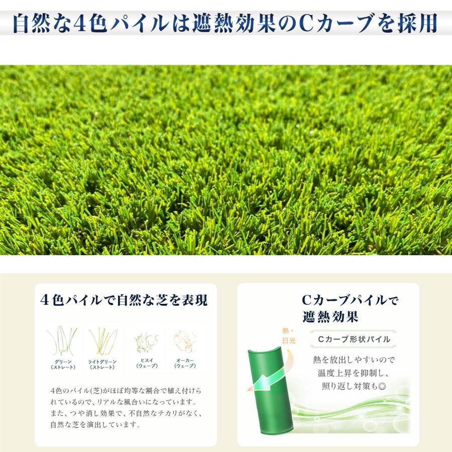 人工芝 ロール ピン 付 2m×10m 芝丈 35mm パイル 20平米 芝 マット リアル 高密度 ターフグランデ(R) ロング ピン100本 -法人限定(条件付き個人可)の画像