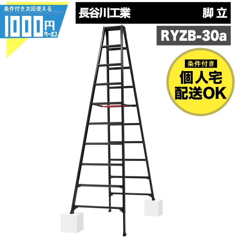 長谷川工業 脚立 10段 黒 有効高さ〜2.53m アルミ製 伸縮 折りたたみ