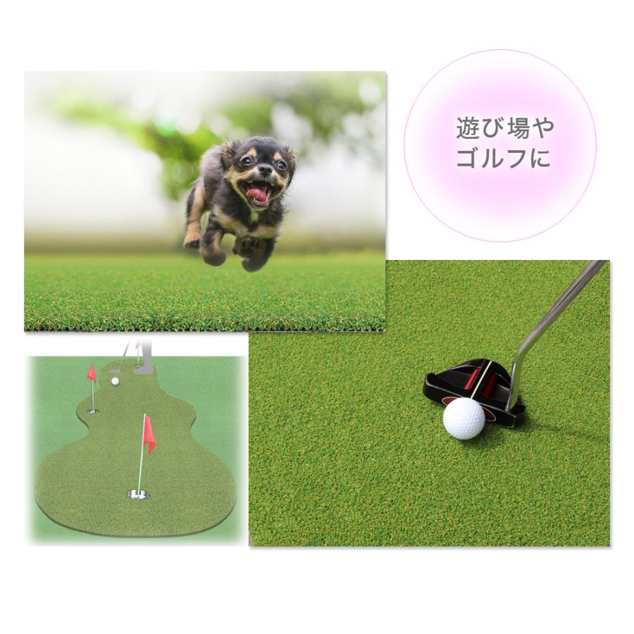 人工芝 ロール 2m×10m 芝丈 16mm パイル 20平米 芝生 マット リアル  高級 ターフグランデ(R) アクティブ 2m -法人限定(条件付き個人可)の画像