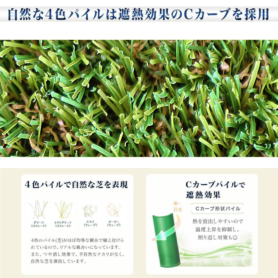 人工芝 ロール ピン 付 2m×10m 芝丈 25mm パイル 20平米 芝 マット リアル 高密度 ターフグランデ(R) ミドル ピン100本 -法人限定(条件付き個人可)の画像