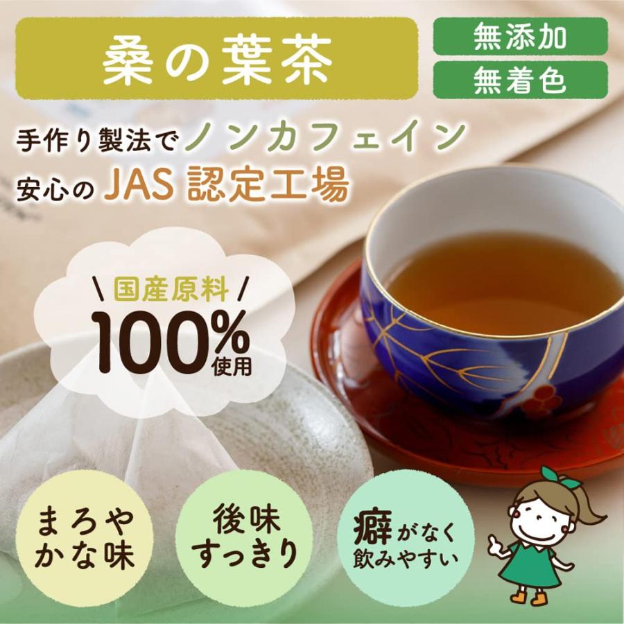 桑の葉茶 3g×40包 無農薬 国産（徳島県産）残留農薬・放射能検査済※別倉庫より直送の為キャンセル不可※【桑茶/クワ茶/お茶/健康茶/ノンカフェイン】 | がばい農園 | 01