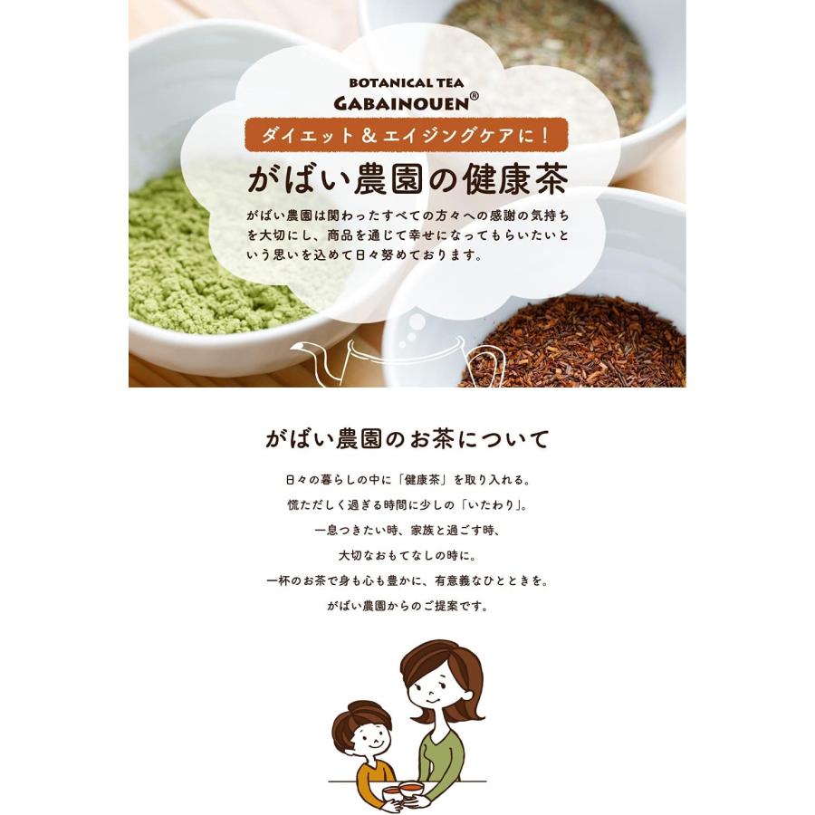 桑の葉茶 3g×40包 無農薬 国産（徳島県産）残留農薬・放射能検査済※別倉庫より直送の為キャンセル不可※【桑茶/クワ茶/お茶/健康茶/ノンカフェイン】 | がばい農園 | 03