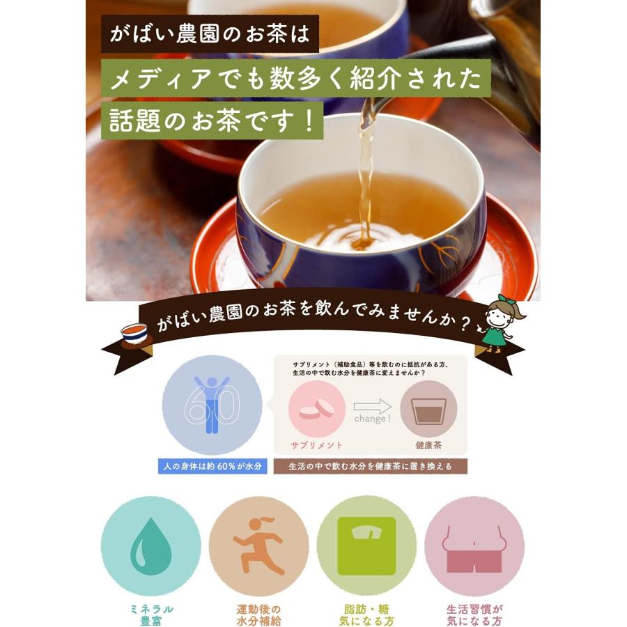 桑の葉茶 3g×40包 無農薬 国産（徳島県産）残留農薬・放射能検査済※別倉庫より直送の為キャンセル不可※【桑茶/クワ茶/お茶/健康茶/ノンカフェイン】 | がばい農園 | 06