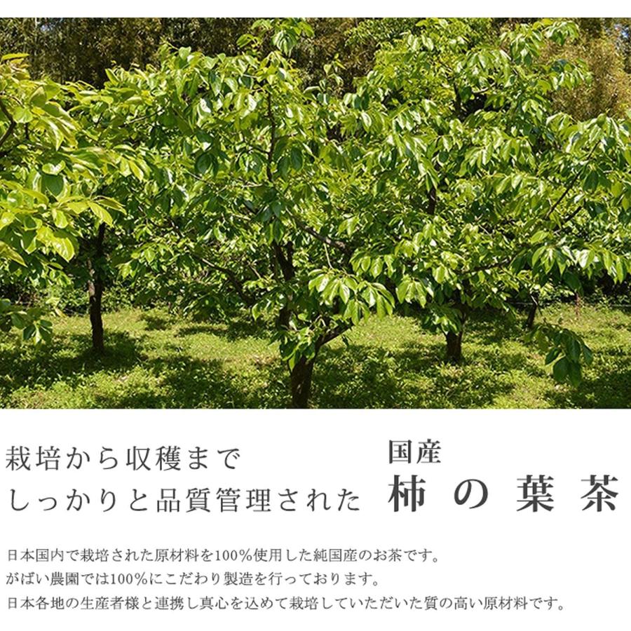 柿の葉茶 3g×40包 お得な3個セット  国産（徳島県産）栽培期間中農薬不使用 残留農薬・放射能検査済※別倉庫より直送の為キャンセル不可※【健康茶/お茶】 | がばい農園 | 02
