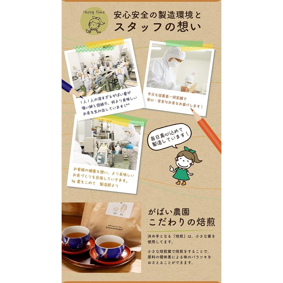 柿の葉茶 3g×40包  国産（徳島県産）栽培期間中農薬不使用 残留農薬・放射能検査済※別倉庫より直送の為キャンセル不可※【健康茶/ノンカフェイン/無添加】 | がばい農園 | 06