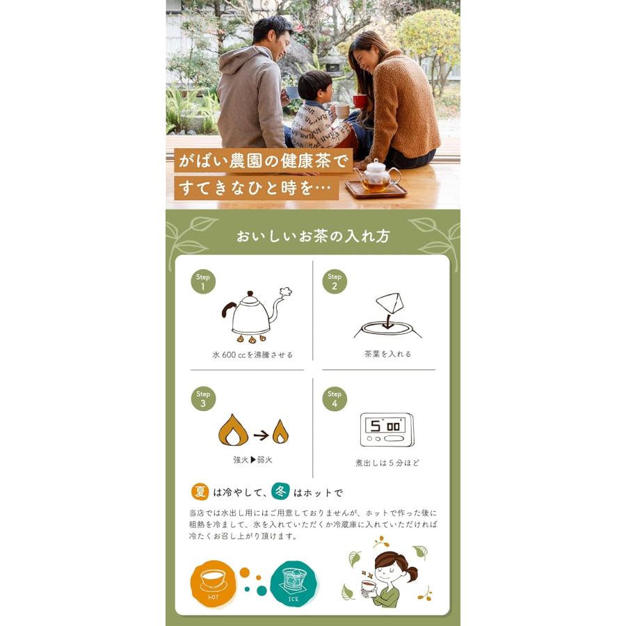 柿の葉茶 3g×40包  国産（徳島県産）栽培期間中農薬不使用 残留農薬・放射能検査済※別倉庫より直送の為キャンセル不可※【健康茶/ノンカフェイン/無添加】 | がばい農園 | 08