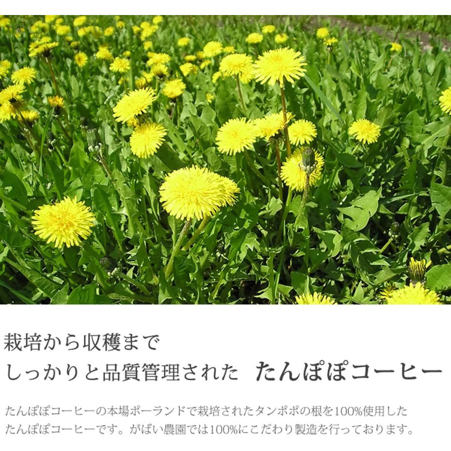 がばい農園 たんぽぽコーヒー 2g×40包 残留農薬・放射能検査済【送料