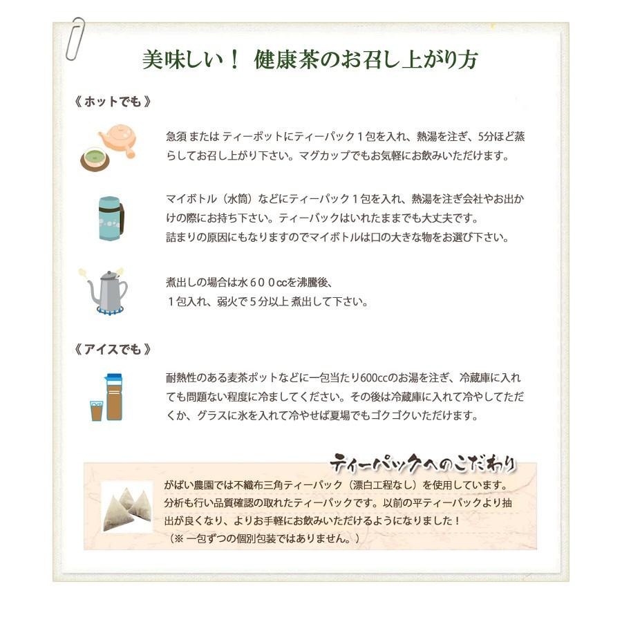 がばい農園 有機栽培 発芽はと麦茶 5g×40包 栽培期間中農薬不使用 国産 