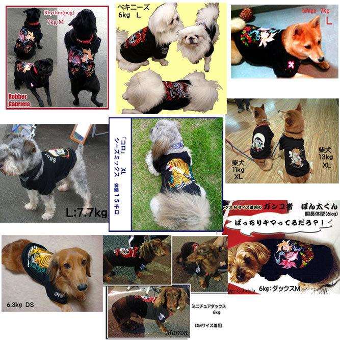 犬服・アクセサリー H.A 71811957.jpg