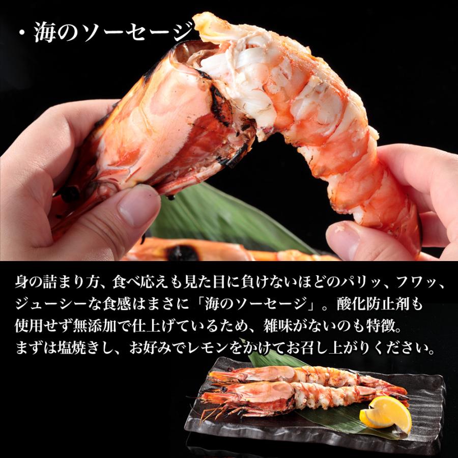 天然 シータイガー | えび 海老 グルメ ギフト |  | 03