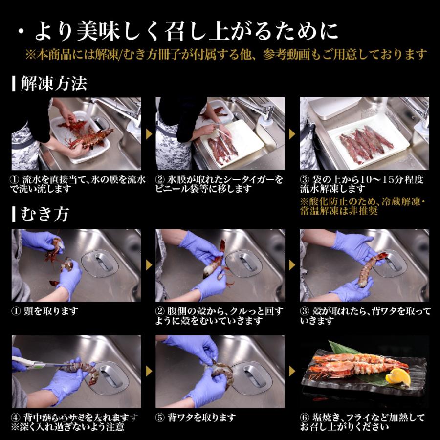 天然 シータイガー | えび 海老 グルメ ギフト |  | 05