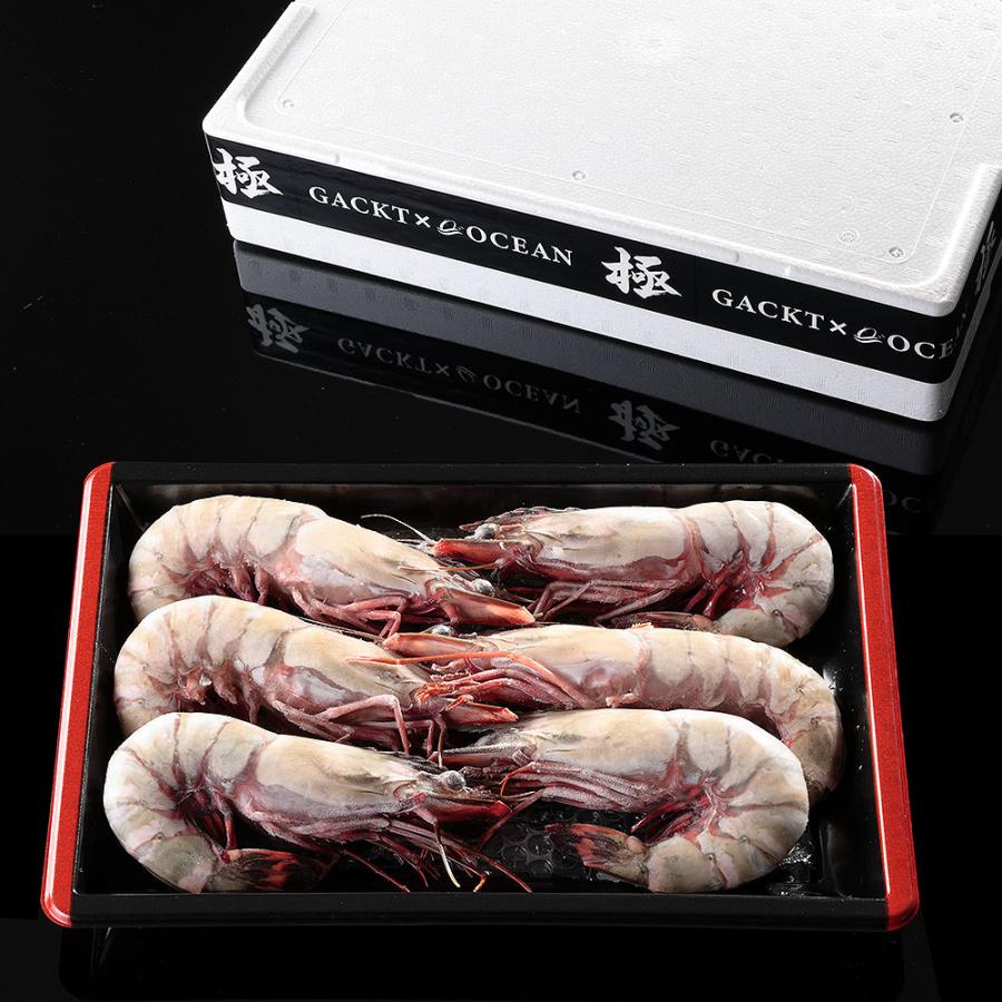 天然 シータイガー | えび 海老 グルメ ギフト |  | 04