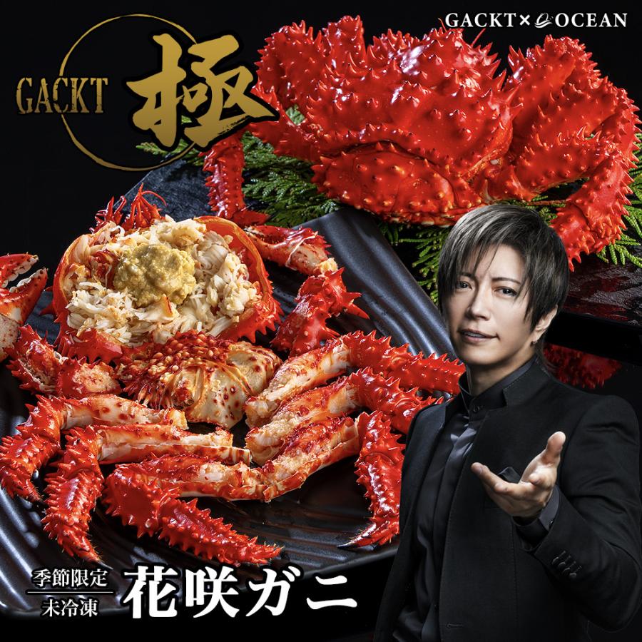 北海道 根室産 花咲ガニ ※チルド終了につき、冷凍のみの受付 | 