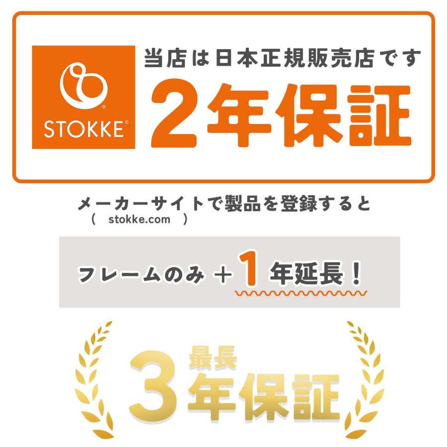 ストッケ YOYO3 B型ベビーカー フレーム ブラック 6+ カラーパック トープ エアラブ4+ ドーナッツ 2点セット 軽量 コンパクト 防寒 出産祝い ギフト 正規品_17