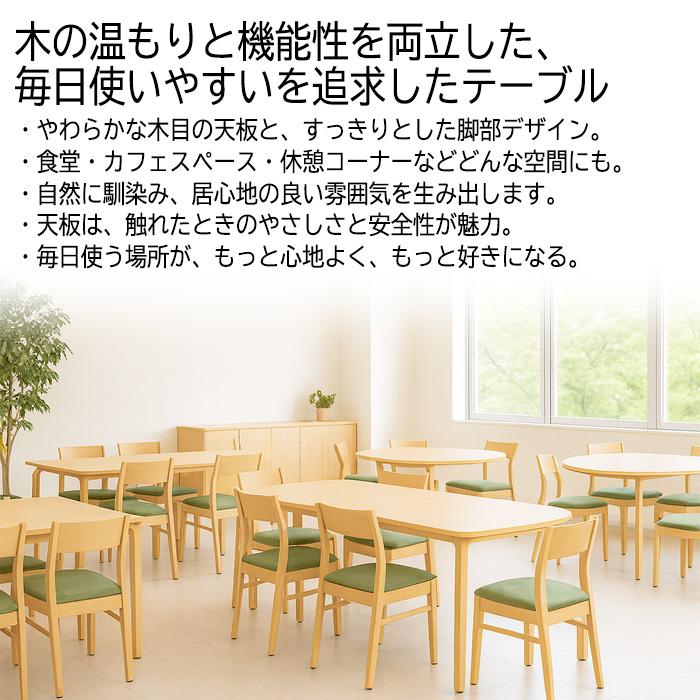 会議用テーブル E-MBS-1890K W1800×D900×H700mm 食堂テーブル 食堂 学生寮 社員寮 業務用 店舗 飲食店 喫茶店の画像