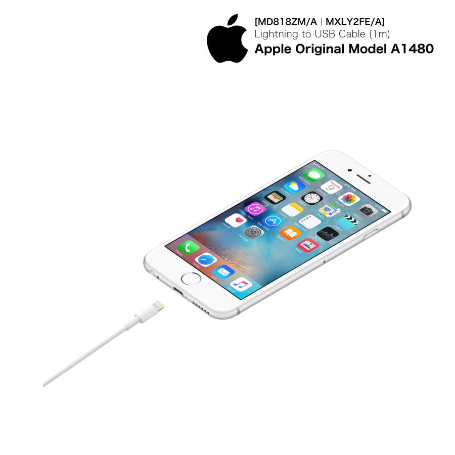 Apple 純正 ライトニングケーブル 1m Lightning USBケーブル iPhone 充電 アップル iphone充電器純正品 純正ケーブル iphoneケーブル 純正品｜gadgetgeeks｜05
