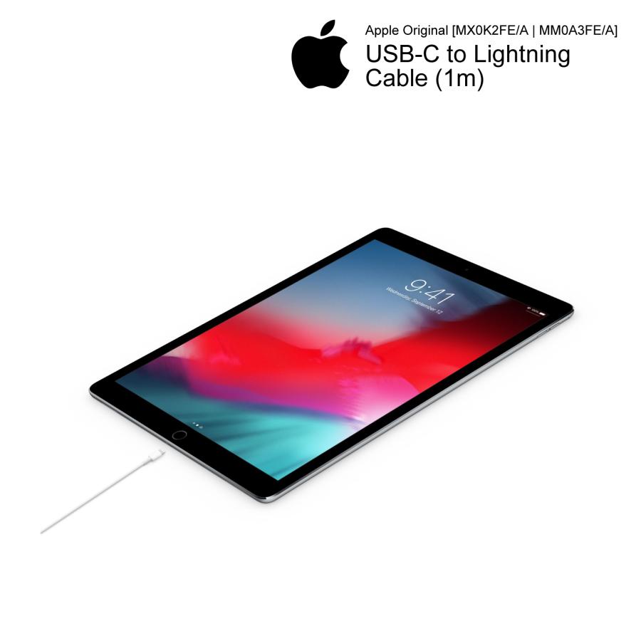Apple 純正 USB-C ライトニングケーブル 1m PD 急速充電 Lightning USB Type-C ケーブル iPhone iPad  充電 アップル アイフォン アイパッド MX0K2FE/A :MX0K2FEA-K:ガジェットギークス Yahoo!店 - 通販 -  Yahoo!ショッピング