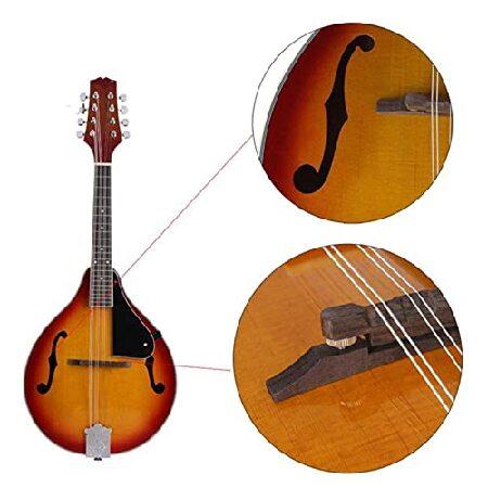 TSTS Mandolin Musical Instrument A Style 8 String Acoustic