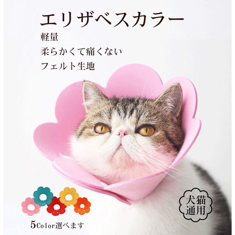 エリザベスカラー 犬 猫 ソフト フェルト 軽量 着脱簡単 ペット ヘルスケア かわいい 軽い 柔らかい 術後傷口保護 傷舐め防止 :gaiajapanElizabethCollar001:GAIA - 通販 - Yahoo!ショッピング エリザベスカラー 犬 猫 ソフト フェルト 軽量 着脱簡単 ペット ヘルスケア かわいい 軽い 柔らかい 術後傷口保護 傷舐め防止 :gaiajapanElizabethCollar001:GAIA - 通販 - Yahoo!ショッピング
