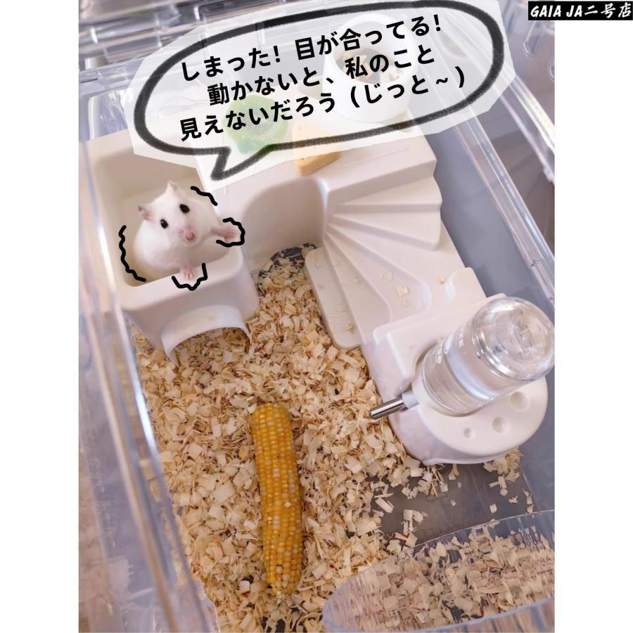 ハムスター ケージ 飼育ケージ セット 全面クリア 透明 見やすい