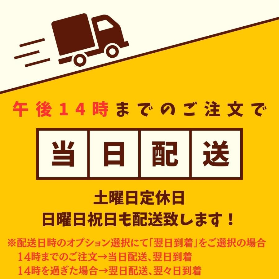 イヤホン 有線 有線イヤホン インナー式 マイク付き 遮音性 音漏れ防止 有線 通話可能 リモコン付き 3.5mm テレワーク ME530S｜gaias｜12