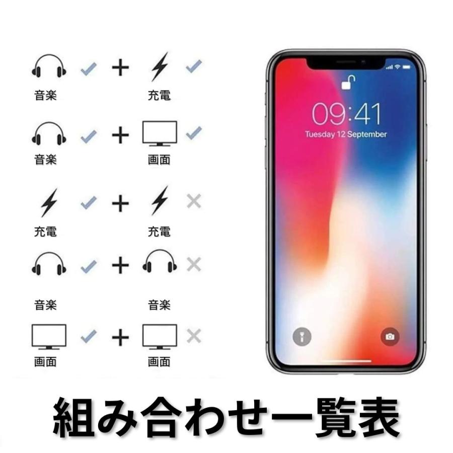 iPhone対応 2in1 イヤホン・充電変換アダプタ ライトニング対応 二股