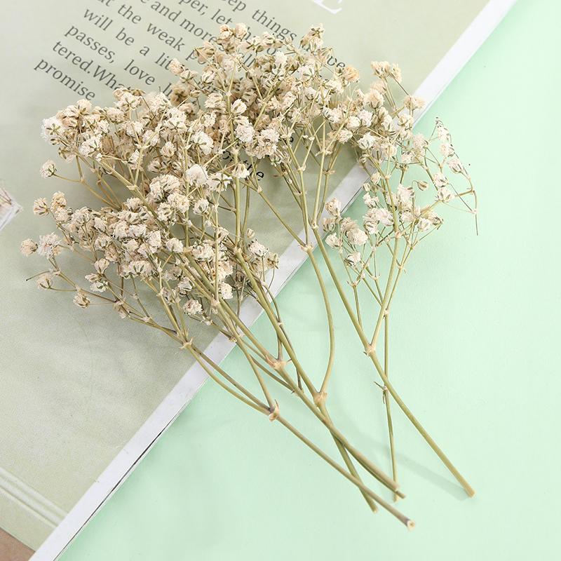 国内在庫 ドライフラワー 小花 L1256 Gaikicraft 通販 Yahoo ショッピング