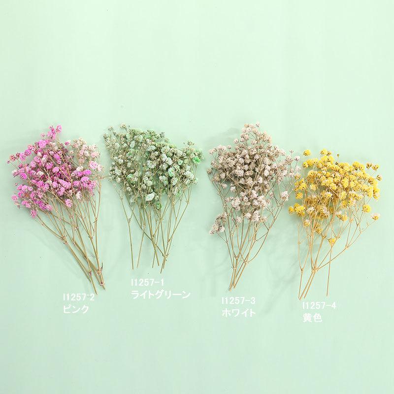 国内在庫 ドライフラワー 小花 L1257 Gaikicraft 通販 Yahoo ショッピング