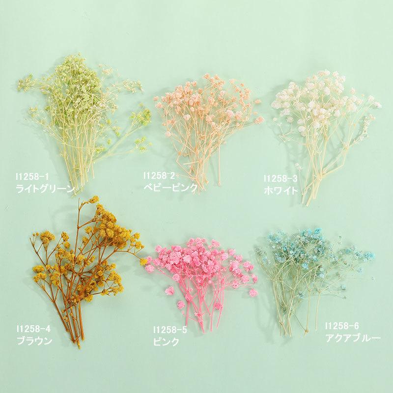 ドライフラワー 小花 11 24入荷 L1258 Gaikicraft 通販 Yahoo ショッピング