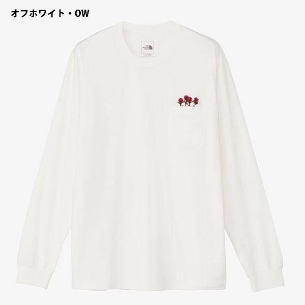 新品未使用♡ ロゴ　ロンT 小花柄　ホワイト　ブラウン　春夏 THE NORTH FACE（ザ ノースフェイス） メール便発送 即納可☆ 【THE