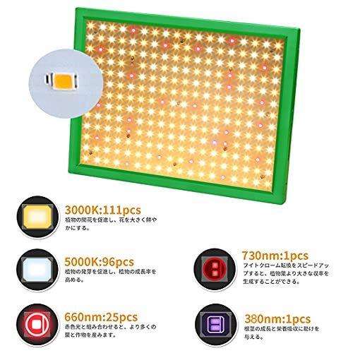 格安 21最新版 デイジーチェーン機能 Aokyoung 植物育成ライト Led光合成ライト 1000w Samsung Lm281b ライトチップ 上質で快適 Turningheadskennel Com