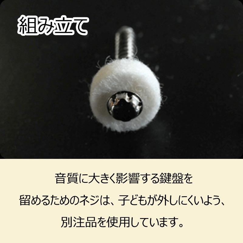 【ボーネルンド公認店】 木琴 日本製 ボーネルンド おさかなシロフォン 名入れ無料I 名入れ無料 楽器 木のおもちゃ 出産祝い 誕生日 プレゼント 男の子 女の子の画像